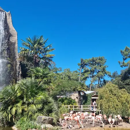 Beautiful Stacaravan In 3*