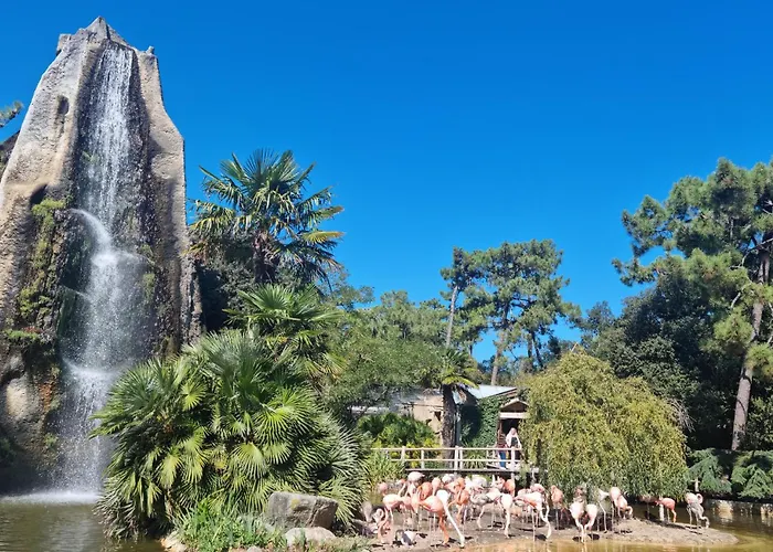 Beautiful Stacaravan In 3*